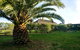 Hermitage Hill Country Retreat - thumb 3