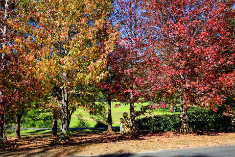 Kangaroo Valley Timber Cabin - Winery Find 3