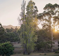 Karribank and the Karri On Bar - Winery Find