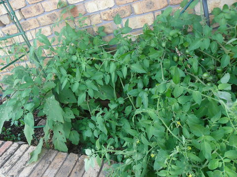 La Lagoon B&B - Winery Find 3