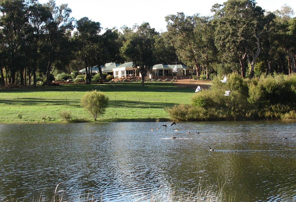 Gidgegannup WA Winery Find