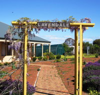 Lavendale Farmstay and Cottages York - Winery Find