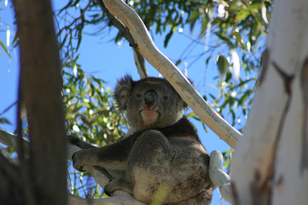 Vale Park SA Winery Find
