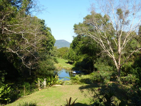 Magnolia Cottage - Winery Find 1
