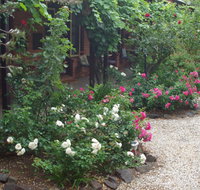 Motel Maldon - Winery Find