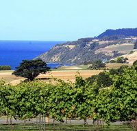 Mallavale Farm Boat Harbour - Winery Find