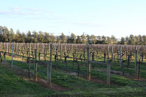Milawa Vineyard Views - Guesthouse 2 - Winery Find 0