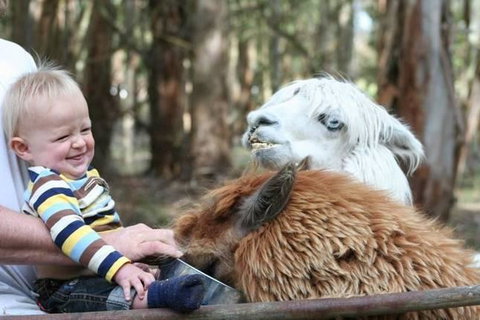 Margaret River Hideaway & Farmstay - Winery Find 21