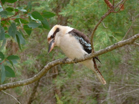 Margaret River Hideaway & Farmstay - Winery Find 31