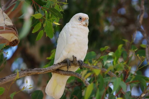 Margaret River Hideaway & Farmstay - Winery Find 26