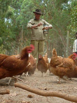 Margaret River Hideaway & Farmstay - Winery Find 28