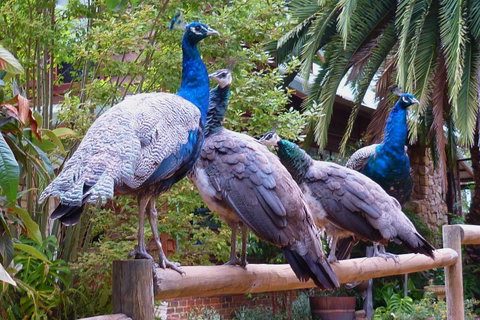 Margaret River Hideaway & Farmstay - Winery Find 19