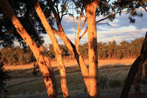 Hotham Ridge Estate - Winery Find 30