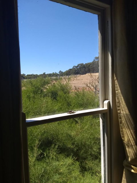 Hotham Ridge Estate - Winery Find 8