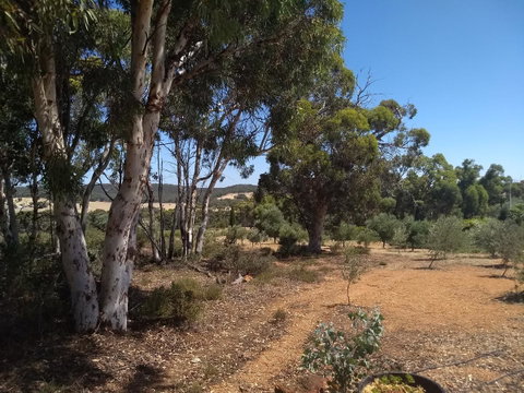 Hotham Ridge Estate - Winery Find 13