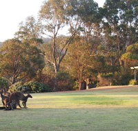 Riverside Retreat Chalets Walpole - Winery Find