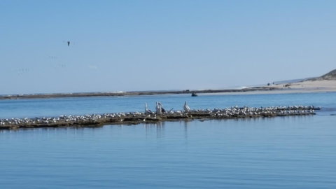 Kalbarri Seaview Villas - Winery Find 33