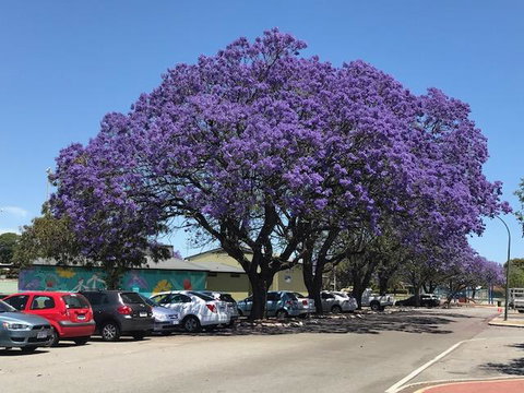 Gerring Court With Free 1 Car Bay Parking - Winery Find 20