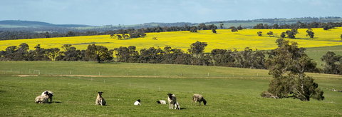 Kendenup Cottages And Lodge - Winery Find 44