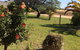 Ocean View Homestead - thumb 24