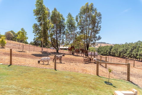 'Bindoon Valley Escape' Cottage - Winery Find 10