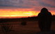 Tanen Farm - thumb 12
