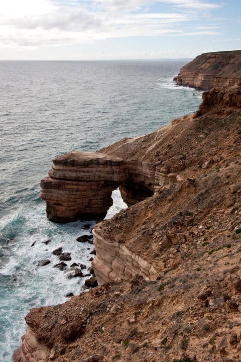 Kalbarri Palm Resort - Winery Find 32