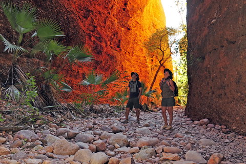 Bungle Bungle Wilderness Lodge - Winery Find 13