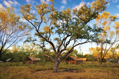 Bungle Bungle Wilderness Lodge - Winery Find 11