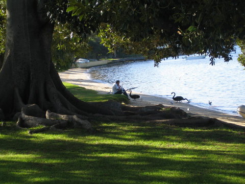Garden Studio In Cottesloe - Winery Find 11