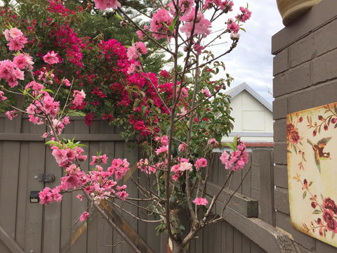 Garden Studio In Cottesloe - Winery Find 10