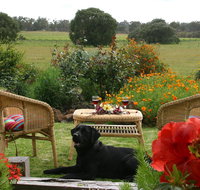 Silversprings cottages - Winery Find