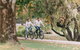 Country Club Villas - thumb 7