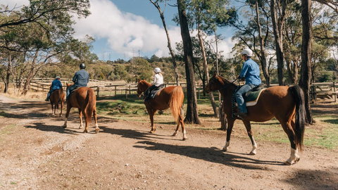 Country Club Tasmania - Winery Find 7