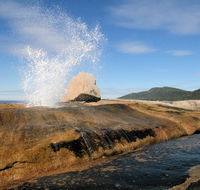 Suntrap Cove Bicheno - Winery Find