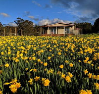Mountain Blue Guest House - Winery Find