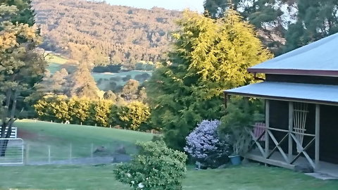 Glengarry Farm Stay BnB - Winery Find 7