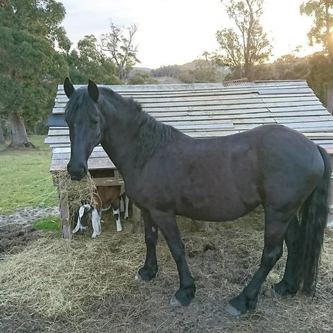Glengarry Farm Stay BnB - Winery Find 12