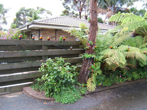 Ocean Drive Apartments - Winery Find 3