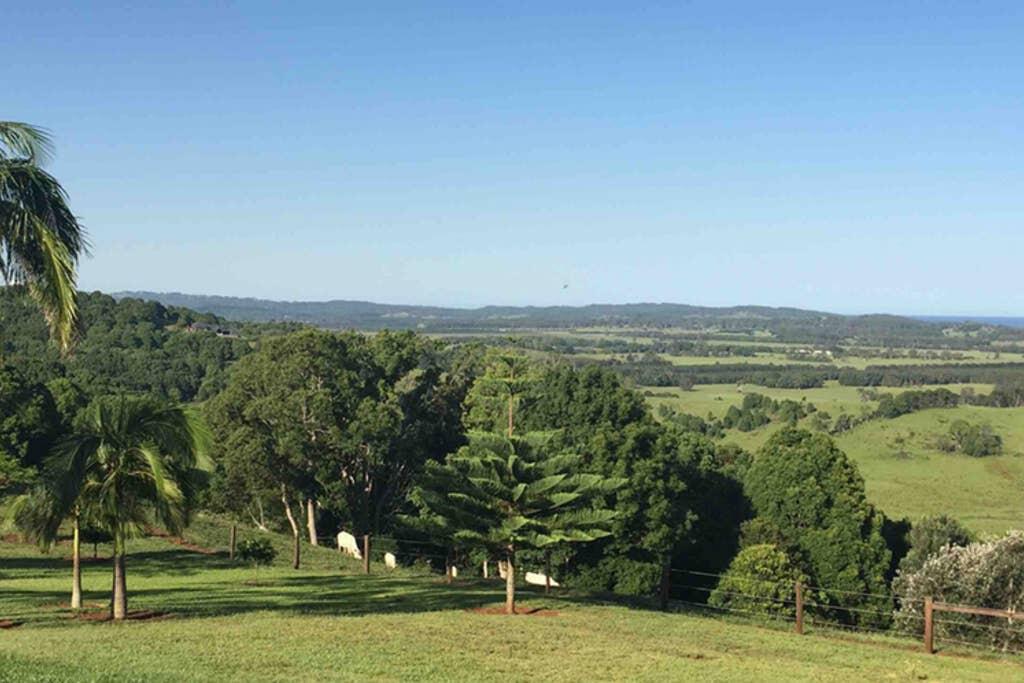 Knockrow NSW Winery Find