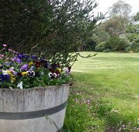 Padthaway Caravan Park - Winery Find