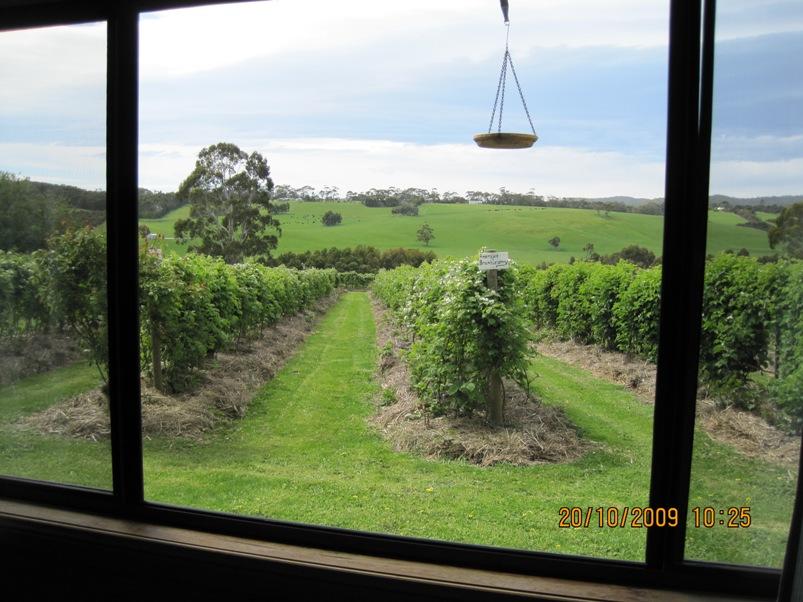 Murroon VIC Winery Find