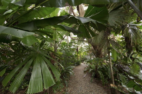 Rainforest Castaways Resort And Spa - Winery Find 1
