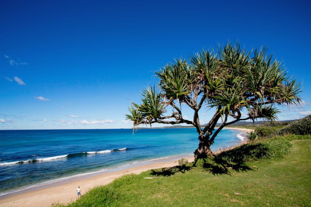 Corindi Beach NSW Winery Find