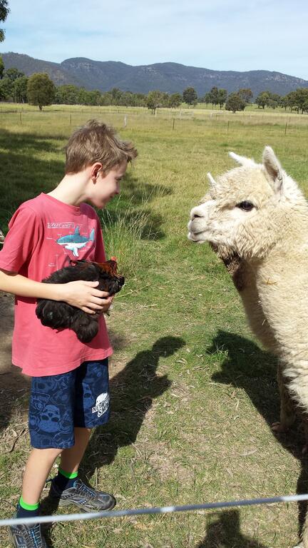 Starline Alpacas Farmstay Resort - Winery Find 3