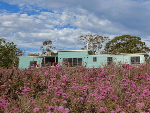 Tea Tree Hollow - 50 Percent Off Third Night On Weekend - Winery Find 1
