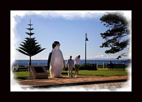 Penguin Beachfront Apartments - Winery Find 13