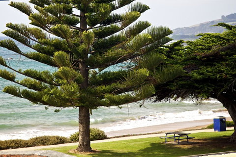 Penguin Beachfront Apartments - Winery Find 9