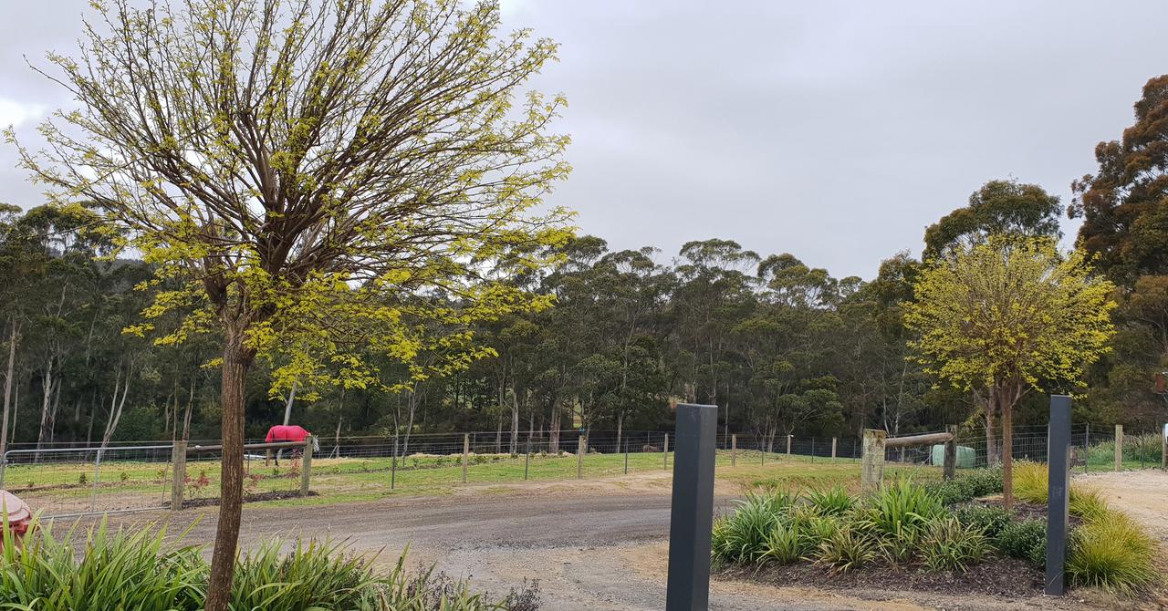 Wyena TAS Winery Find