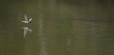 Naivasha Cottage - Winery Find 13